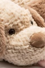 TWIGY TW SUSAM BEJ KADIN HAYVANLI PANDUF 36/41