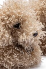 TWIGY TW DİGİ BEJ KADIN HAYVANLI PANDUF 36/41